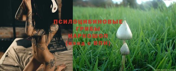 прущая мука Михайлов