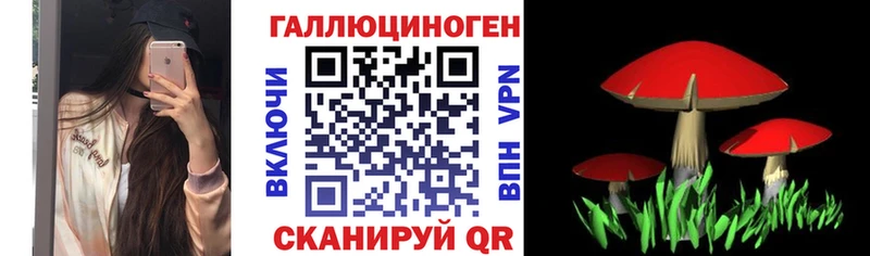 Псилоцибиновые грибы мицелий  цена   Гаджиево 